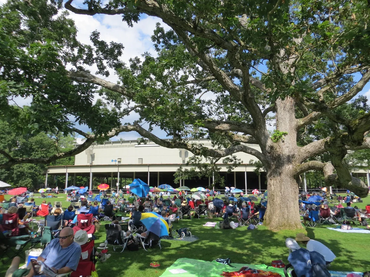 Concertgoers on the Tanglewood lawn